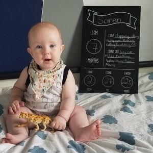 Chalkboard Baby Monthly Growth Photos - Milestone Photos plaque